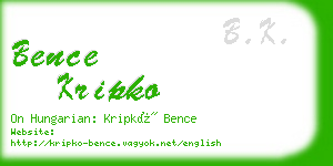 bence kripko business card